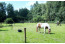 Vakantieboerderij Hoeve Heide en Wold met hottub direct aan ruiterroutes VMP010